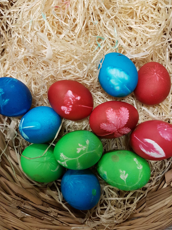 Mangfalltaler Kolbermoor